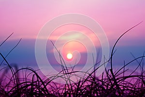 blur sunset on the sea and silhouette grass on beach colorful pu