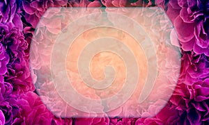 blur top and bottom circle frame on pink and violet rose flowers background, nature, decor, fashion, nature, banner, template,