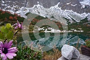 Blured, selective focus, High Tatras and Zelene Pleso Green water lake with Belianske Tatry background, Chata pri Zelenom Plese