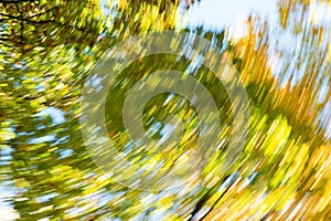 Blurred abstract background of autumn leaves on trees in motion. The concept of rotation in nature in autumn