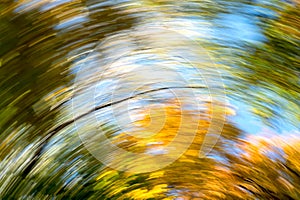 Blurred abstract background of autumn leaves on trees in motion. The concept of rotation in nature in autumn
