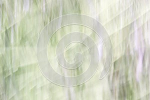 Blurred abstract background. Green purple and white.