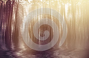 Blurred abstract background photo of forest with surreal motion