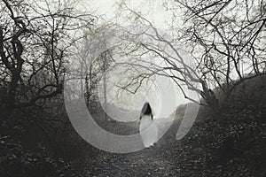 A blurred, abstract ghostly woman. walking through a forest on a spooky, misty winters day. With an out of focus, moody edit