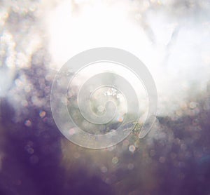 Blurred abstract photo of light burst among trees and glitter bokeh lights. filtered image and textured.