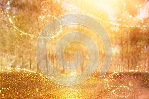 Blurred abstract photo of light burst among trees and glitter golden bokeh lights.