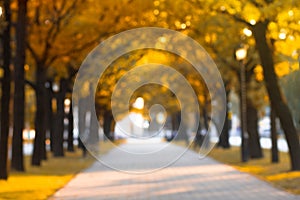 Blurred alley in autumn park, fall yellow road Out of focus. Seasonal landscape in October