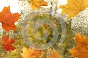 blurred autumn background