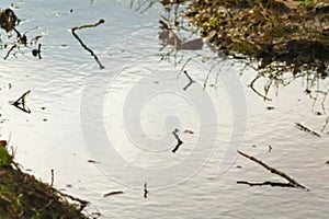 blurred background of Autumn creek surface