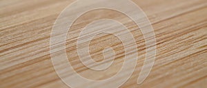 Blurred background bamboo texture, boke