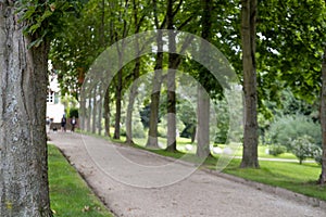 blurred background of beautiful long alley in cultivated epoch-spanning English palace park, residence Landgraves of Hesse-Homburg