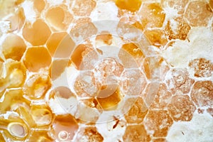Blurred background  beeswax hexagon pattern, close up .
