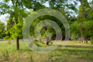 Blurred background of a city park. Natural green summer background