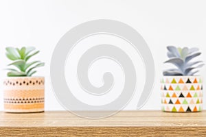 Blurred background concept, stylish mini plant on workspace for home or office decoration