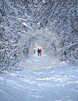 Blurred background with couple of lovers at snowy forest