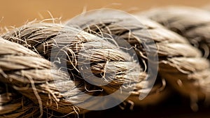 The blurred background creates a sense of depth, emphasizing