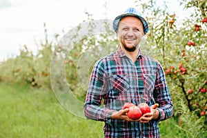 Blurred background young man farmer hat fruit orchard holding three ripe red apples in his hands.