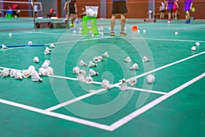 blurred badminton shuttlecock with white line on green court