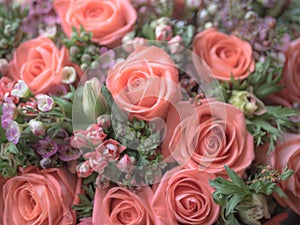 Blurred Beautiful bouquet of coral roses. Mother day