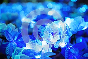 Blurred of blue flower with round shape illuminated LED lighting