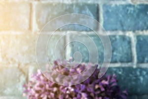 Blurred of brick wall and purple leaf with morning sunlight, Vintage style