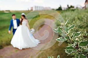 Blurred Bride and groom walking in nature. Soft focus on the green stem. Artwork.