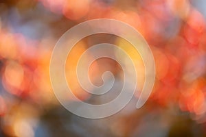 Blurred bright autumn background. Abstract colorful bokeh