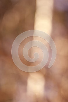 Blurred brown bokeh as an abstract background