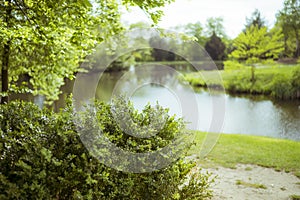 Blurred bush and lake May