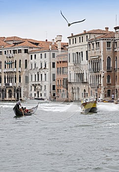 Blurred carabinieri police boat speeds along the Grand Canal of Venice bird in the sky, Italy
