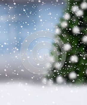 blurred christmas tree, snow, christmas, background