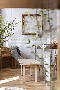Blurred close-up of a plant with a wooden bench in the background in a rustical daily room interior. Real photo photo