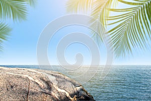 Blurred coconut tree leaf and stone beach at coastline, rocks front the beach stone sea background of beach sunshine in summer