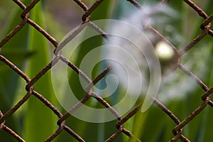 Blurred dandelion on a dirty metal grate