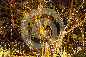 Blurred Decorative outdoor string lights hanging on tree in the garden at night time festivals season