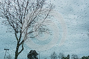 Blurred drops of rain on the window; focus on the tree in the background