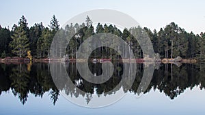 Blurred Fall Reflection