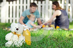 Blurred family relaxing on picnic on lawn near rustic fence, teddy bear and orange juice in focus in foreground
