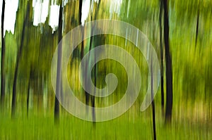 Blurred Forest Background. A motion-blurred image of a forest