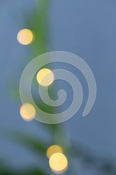 Blurred garland lights on house plant, alternative Christmas tree concept