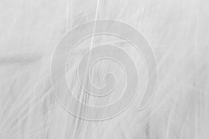 Blurred gray abstract background with a predominance of lines