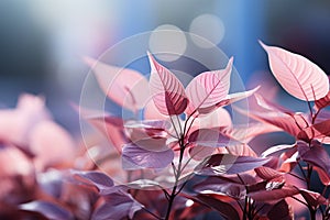 Blurred greenery backdrop accentuates a pink leaf, evoking a gentle, natureinspired concept