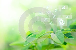 Blurred greenery background in the forest with copy space, Sustainable energy with technology icon, Environmental and Ecology