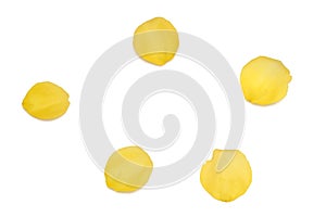 Blurred a group of sweet yellow rose corollas on white isolated with copy space and softy style