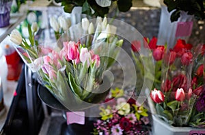 Blurred image of bouquet of fresh tulips in flower shop. Lot of multicolored tulips bouquets