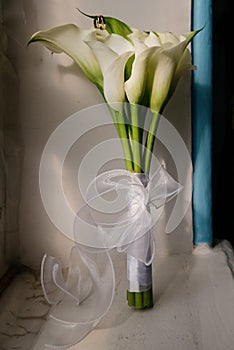 Blurred image of bouquet of fresh tulips in flower shop. Spring floral tulip bunch