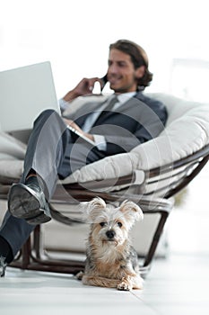 Blurred image of a businessman sitting in a chair and his little pet