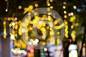 Blurred image Decorative outdoor string lights hanging on tree in the garden at night time festivals season - decorative Christmas