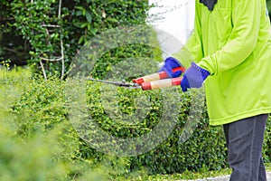 Blurred image of a man cutting green bush (motion blur image)