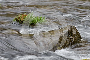 Blurred image of the movement of water in a beautiful forest river with a waterfall